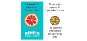 Grapefruit versus orange to compare fat and muscle