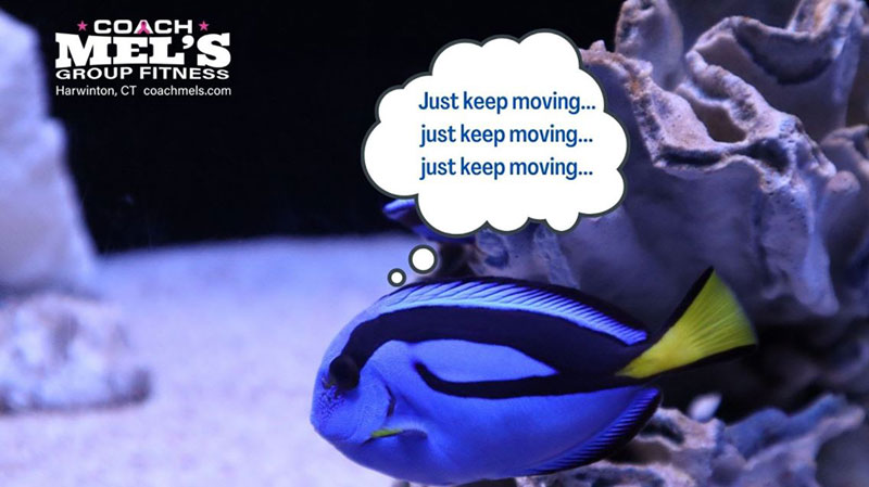 Are you moving enough? Blue fish swimming and saying to just keep moving.